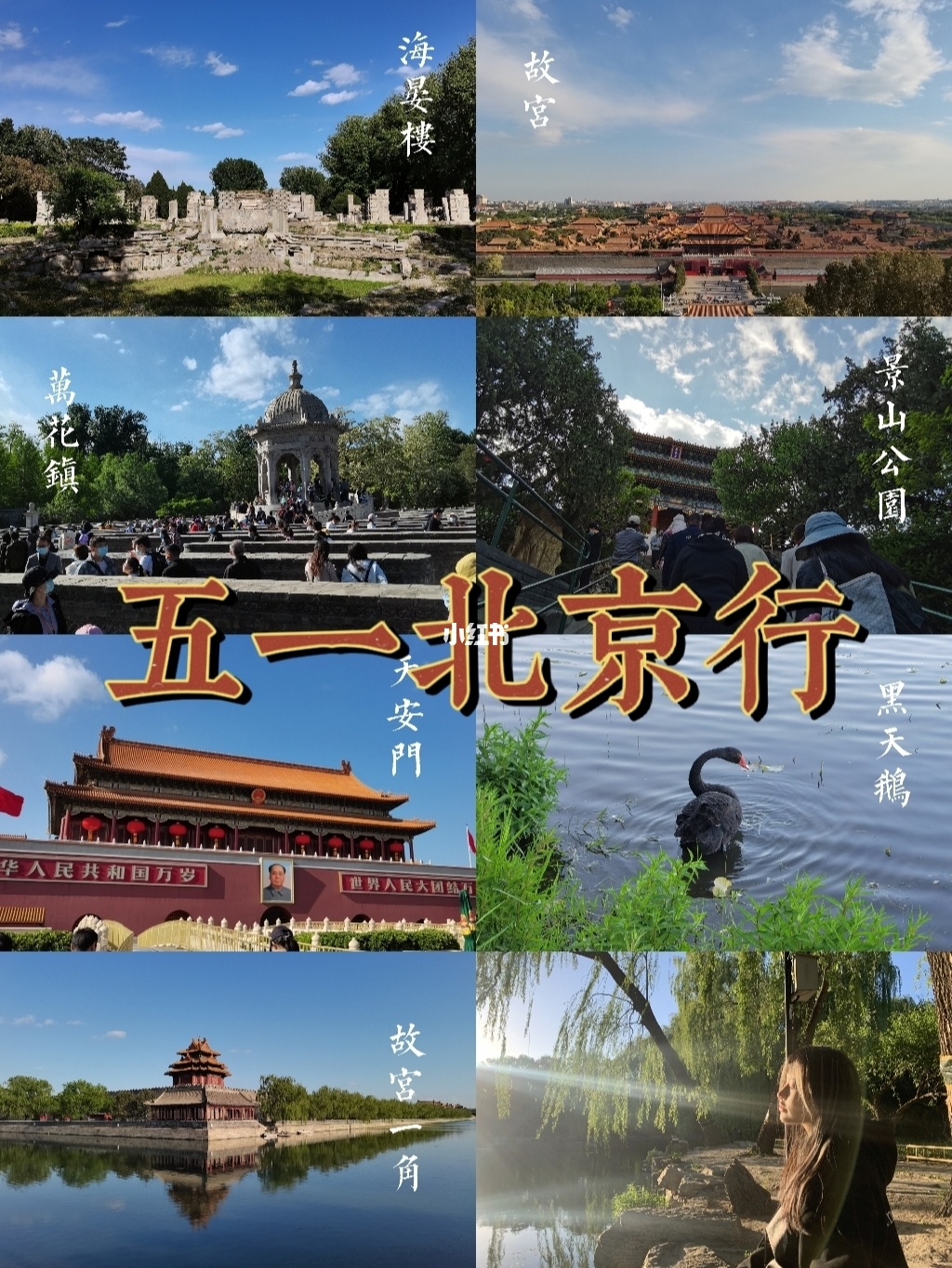 {賭馬}(51旅游的说说)
