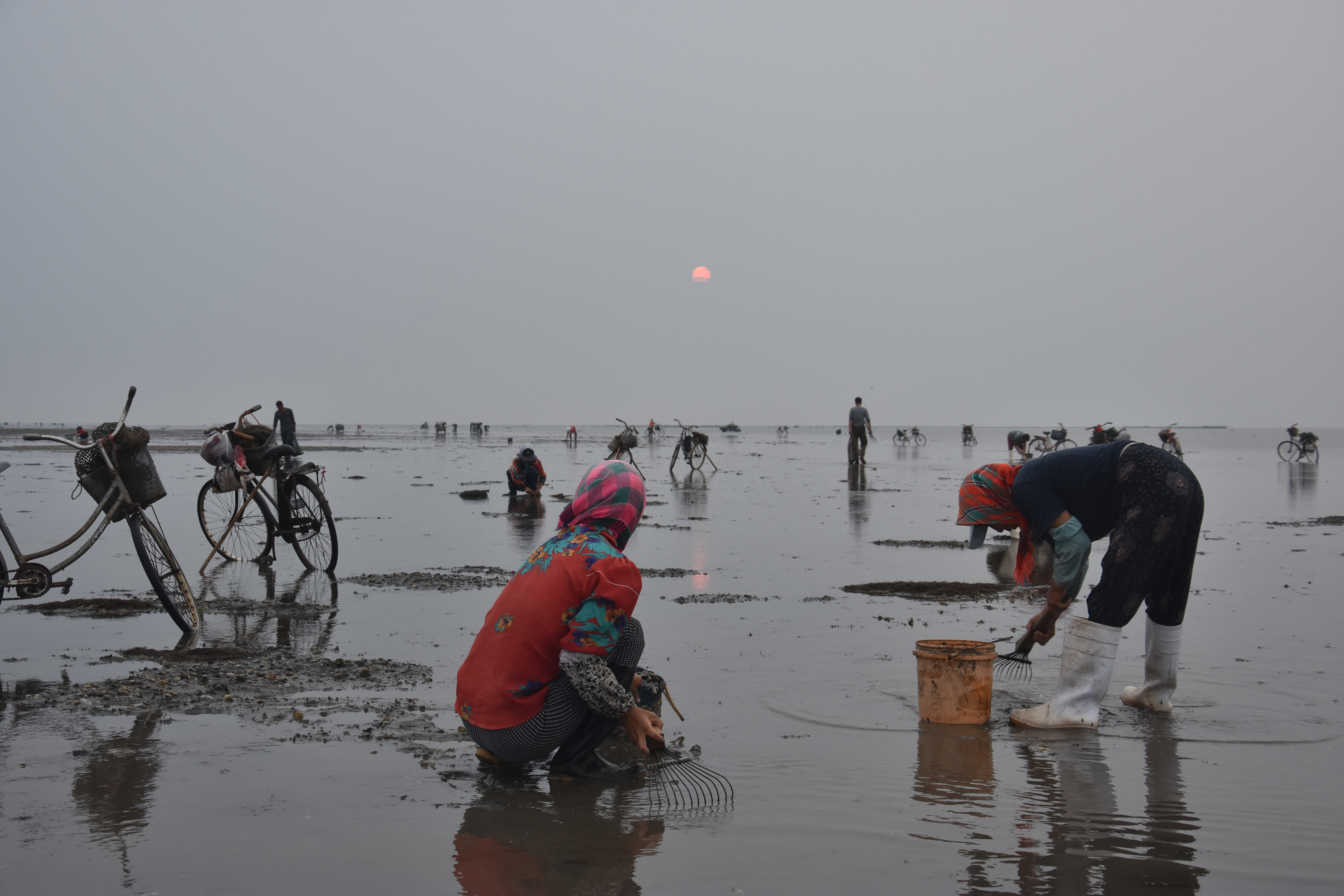 {壹葡}(赶海去哪里比较好)