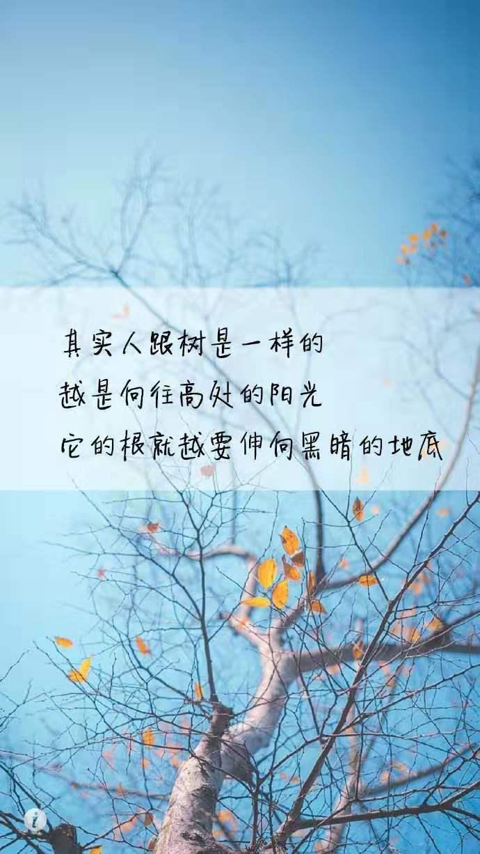 {捕魚機}(真心做教育的经典句子图片) {捕魚機}(真心做教育的经典句子图片)